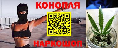 сатива Кандалакша