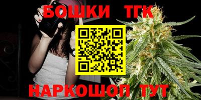 сатива Кандалакша