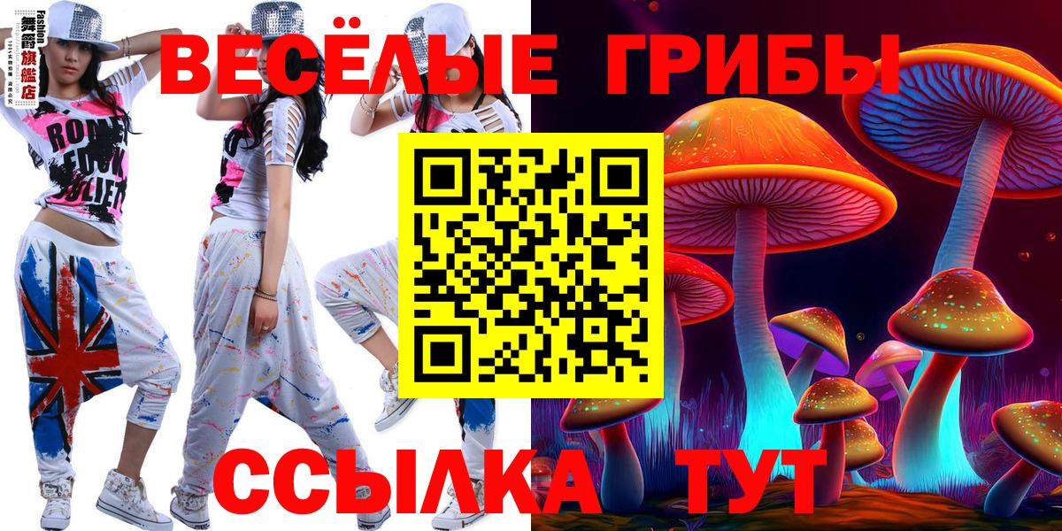 Псилоцибиновые грибы Cubensis  где можно купить   Дедовск  Вход с VPN  Псилоцибиновые грибы Psilocybine cubensis 